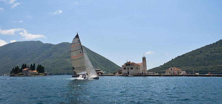 zoki regata